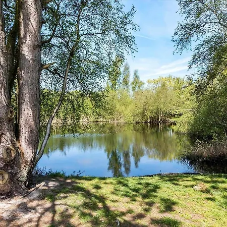 M317-vaeggerlose-petuniavej-11