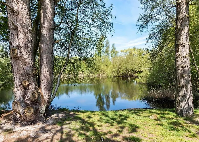 M317-vaeggerlose-petuniavej-11